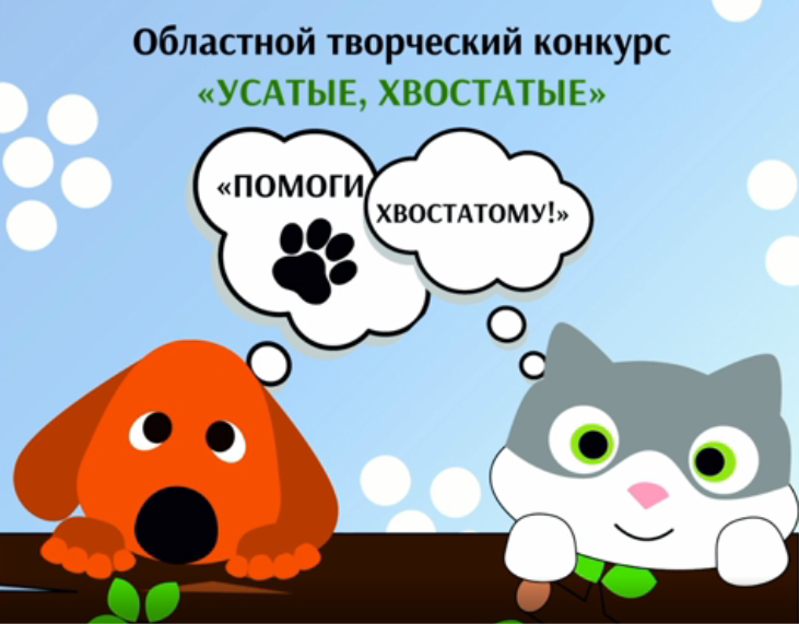 Впервые в рамках Областного Благотворительного фестиваля «Помоги хвостатому!» проводился заочный конкурс для любителей конструирования «Технохвост».