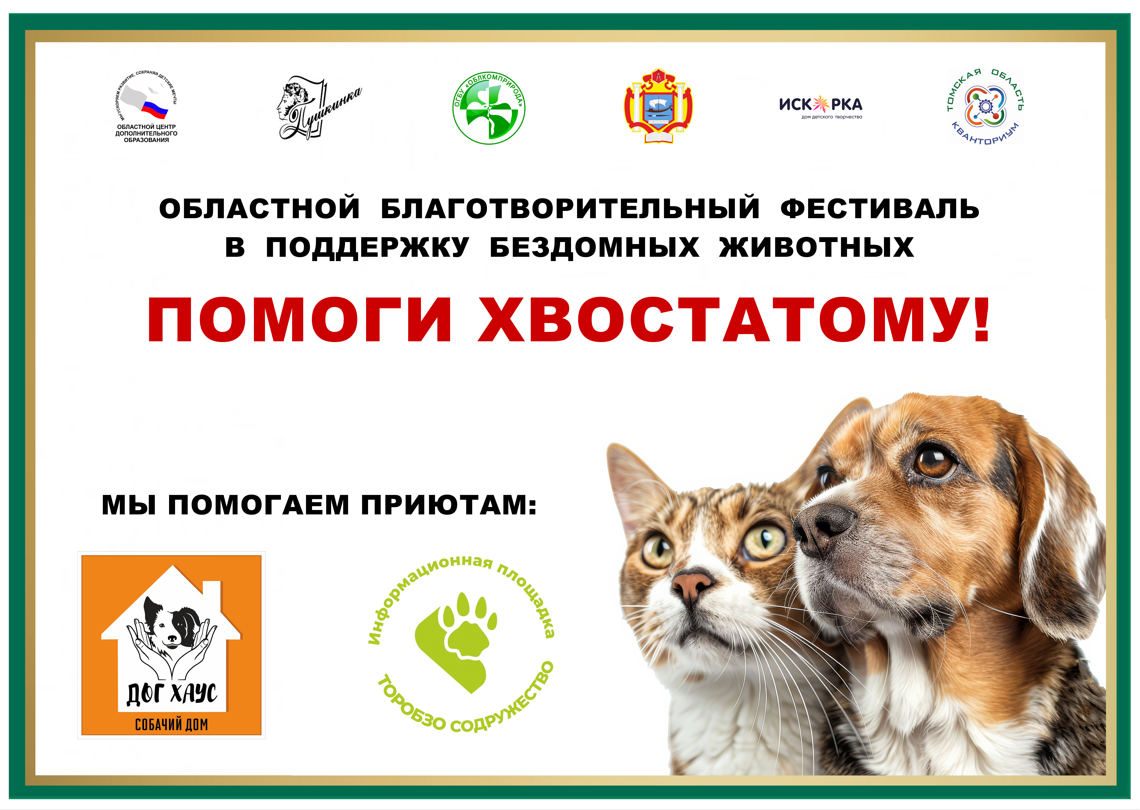 Завершился Областной благотворительный фестиваль в поддержку бездомных животных «ПОМОГИ ХВОСТАТОМУ!».